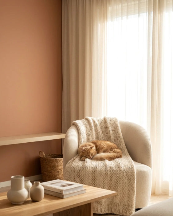 Chat serein dans un salon propre